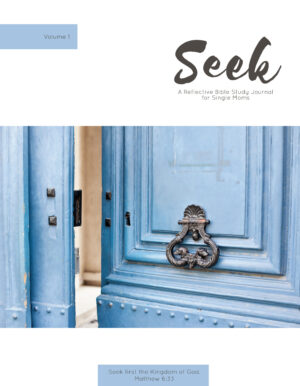Seek - Bible Study Journal